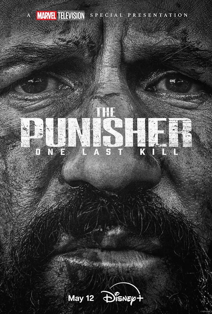Poster del Especial: The Punisher One Last Kill